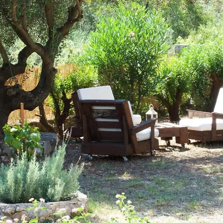 Villa Neptune Sami By